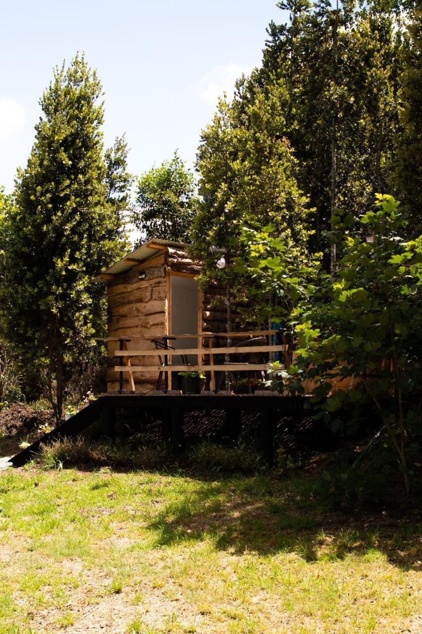 Cabanas Trapen Puerto Montt Buitenkant foto