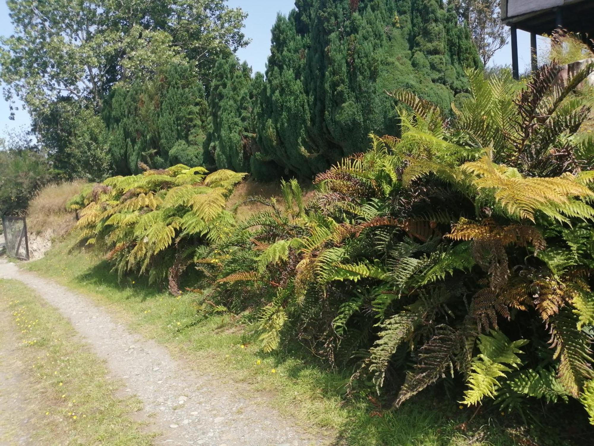 Cabanas Trapen Puerto Montt Buitenkant foto